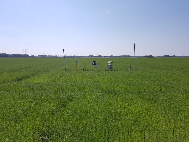 Monitoring network Schokland -  Acacia Water