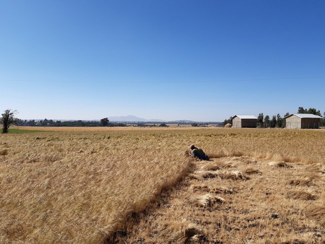 IWRM4WASH project Addis Ababa – VEI -  Acacia Water