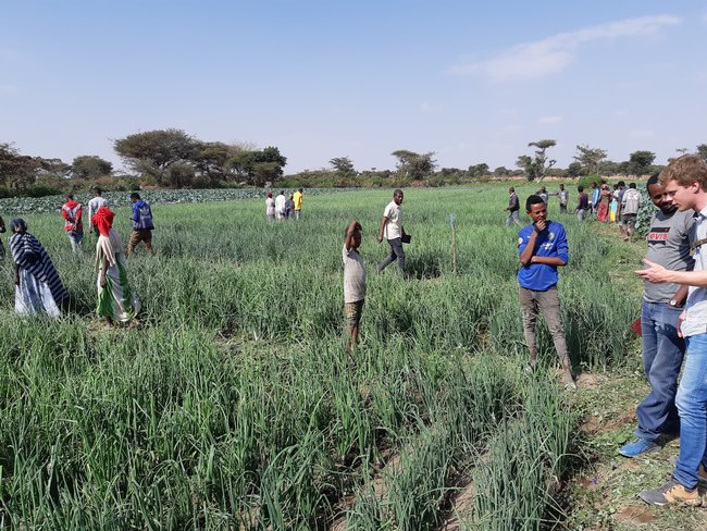 Agrarische onderwijs in Ethiopie -  Acacia Water