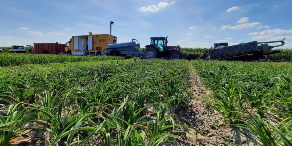 This is how Dutch farmers are saving water for the future