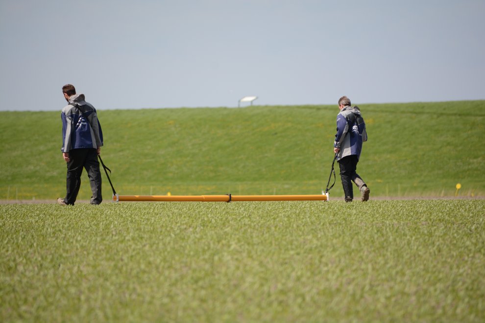 Groundwater monitoring network Hendrik-Ido-Ambacht