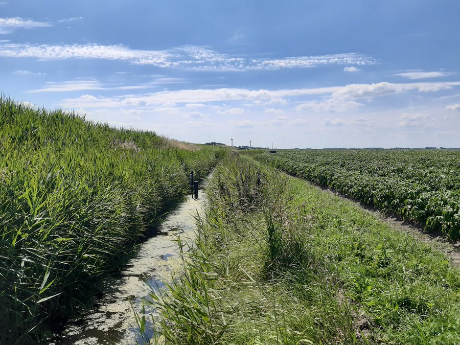 Behoud van zoet oppervlaktewater in de Waddenregio: het gebruik van de Zoete Stuw -  Acacia Water