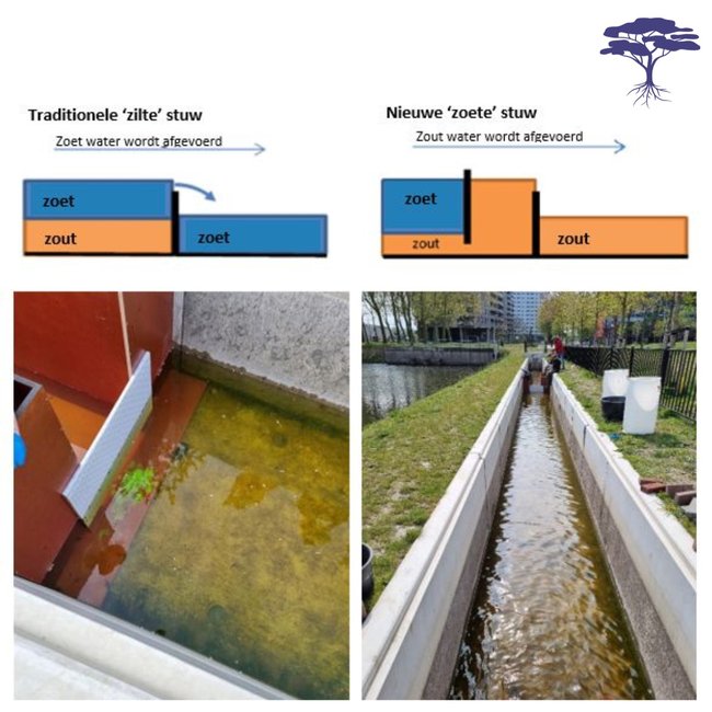 Experiment met de Zoete Stuw -  Acacia Water