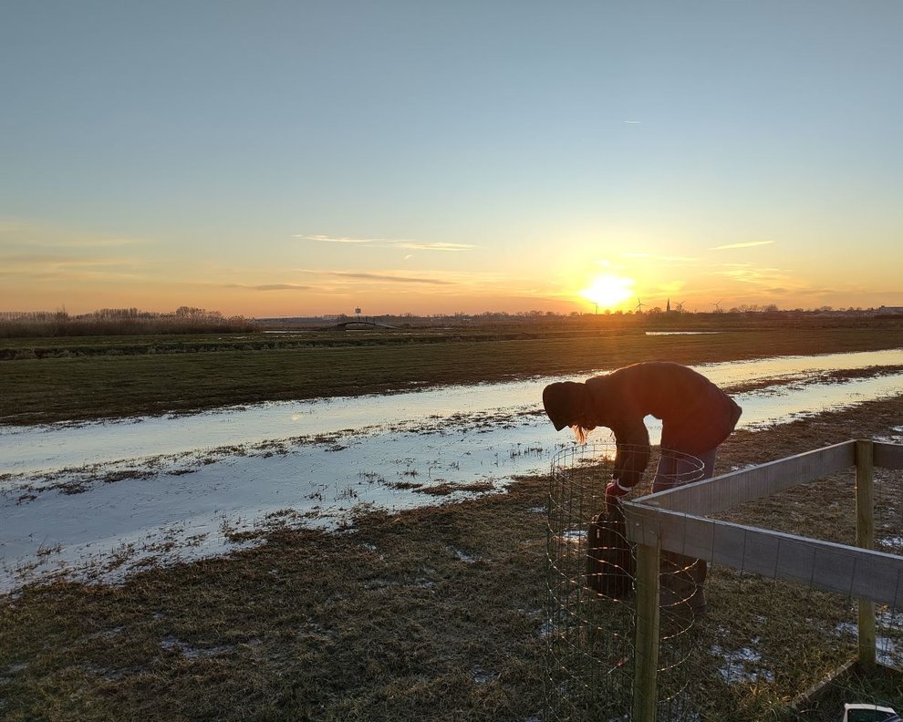 Veelbelovende proef tegen bodemdaling in polder Bloemendaal