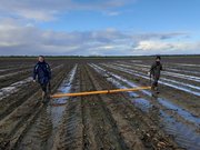 Dubbele drainage voor zoetwater: van idee tot toepassing -  Acacia Water