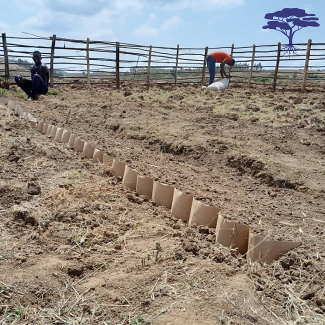 Ecokick is back in Ethiopia: experiment ‘Basin in Balance’ in Ziway Shalla -  Acacia Water