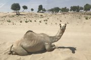 Ondergrondse opslag van drinkwater in Oman -  Acacia Water