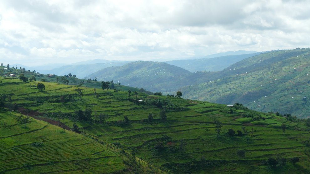 Baseline assessment for Sebeya catchment in Rwanda
