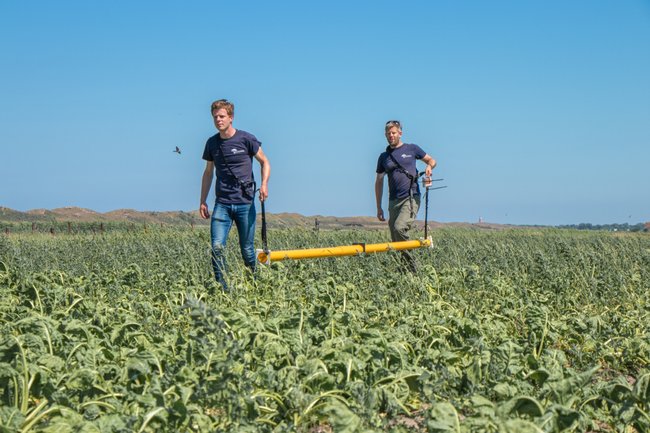 Managed Aquifer Recharge Texel -  Acacia Water