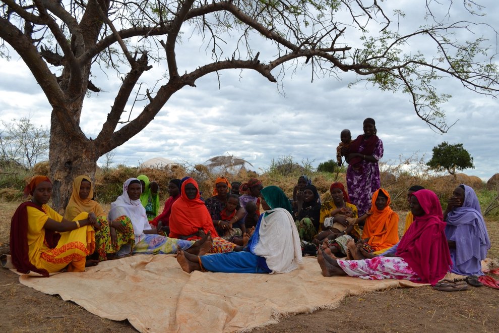 Kenya Arid Lands Disaster Risk Reduction