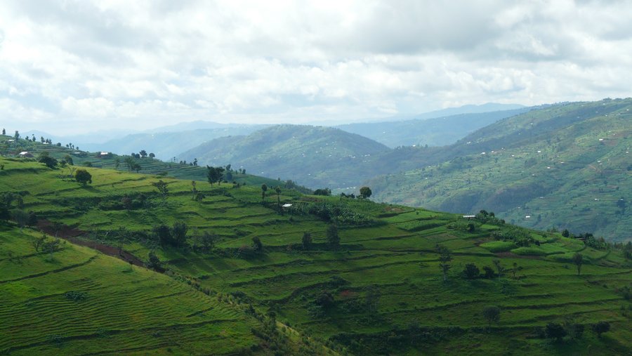 Baseline assessment for Sebeya catchment in Rwanda -  Acacia Water