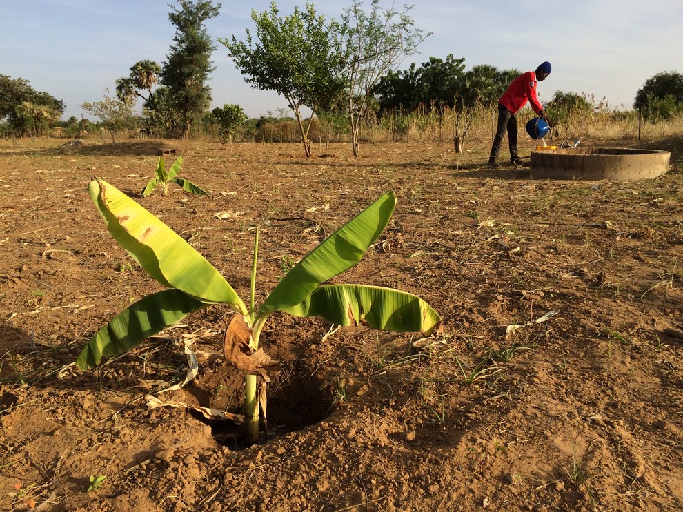 Watersecurity in Sub-Saharan Africa