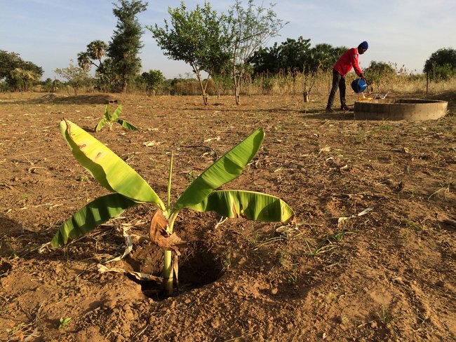 Watersecurity in Sub-Saharan Africa -  Acacia Water