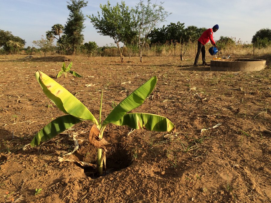 Watersecurity in Sub-Saharan Africa -  Acacia Water