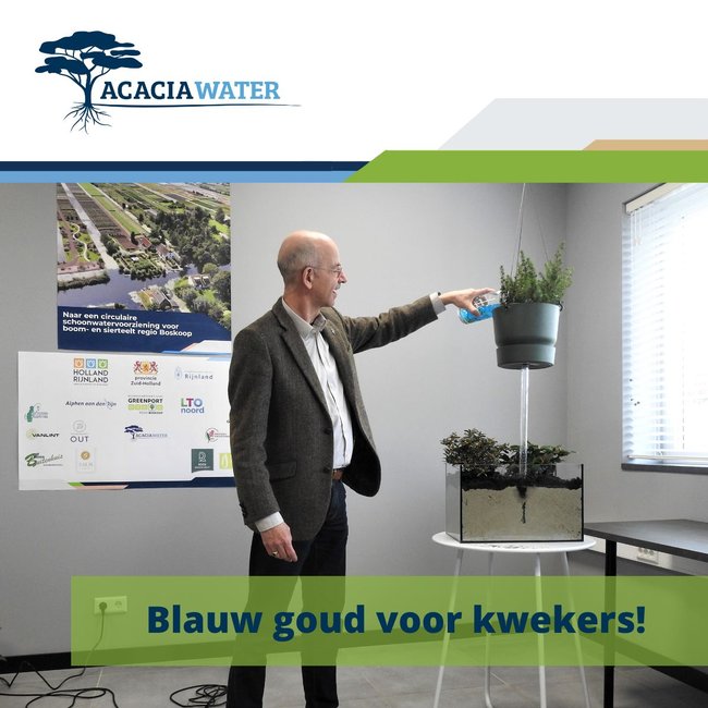 Blauw goud voor kwekers! -  Acacia Water