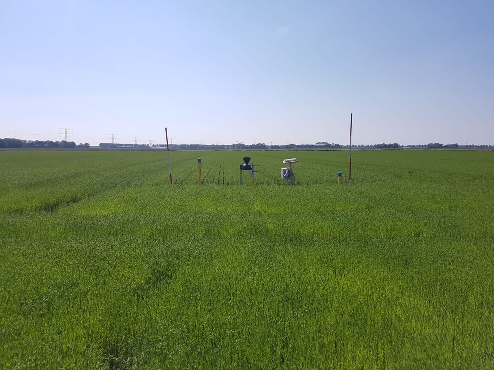 Monitoring network Schokland