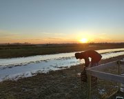 Veelbelovende proef tegen bodemdaling in polder Bloemendaal -  Acacia Water