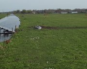 Vernattingsmaatregelen: watervraag en waterbeschikbaarheid -  Acacia Water