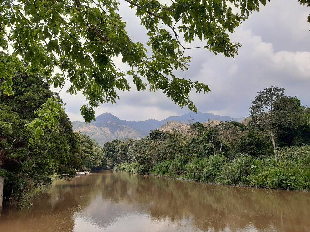 Integraal waterbeheer in de Rio Frío en Rio Sevilla stroomgebieden in Colombia, en de ontwikkeling van een Decision Support Systeem